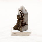 Rare Black Septarian Geode Freeform Crystal - 1 of a Kind