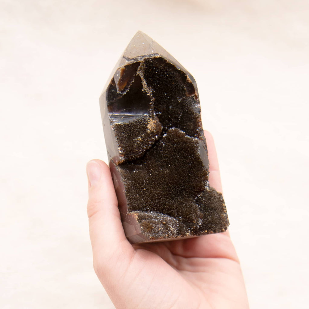 Rare Black Septarian Geode Freeform Crystal - 1 of a Kind