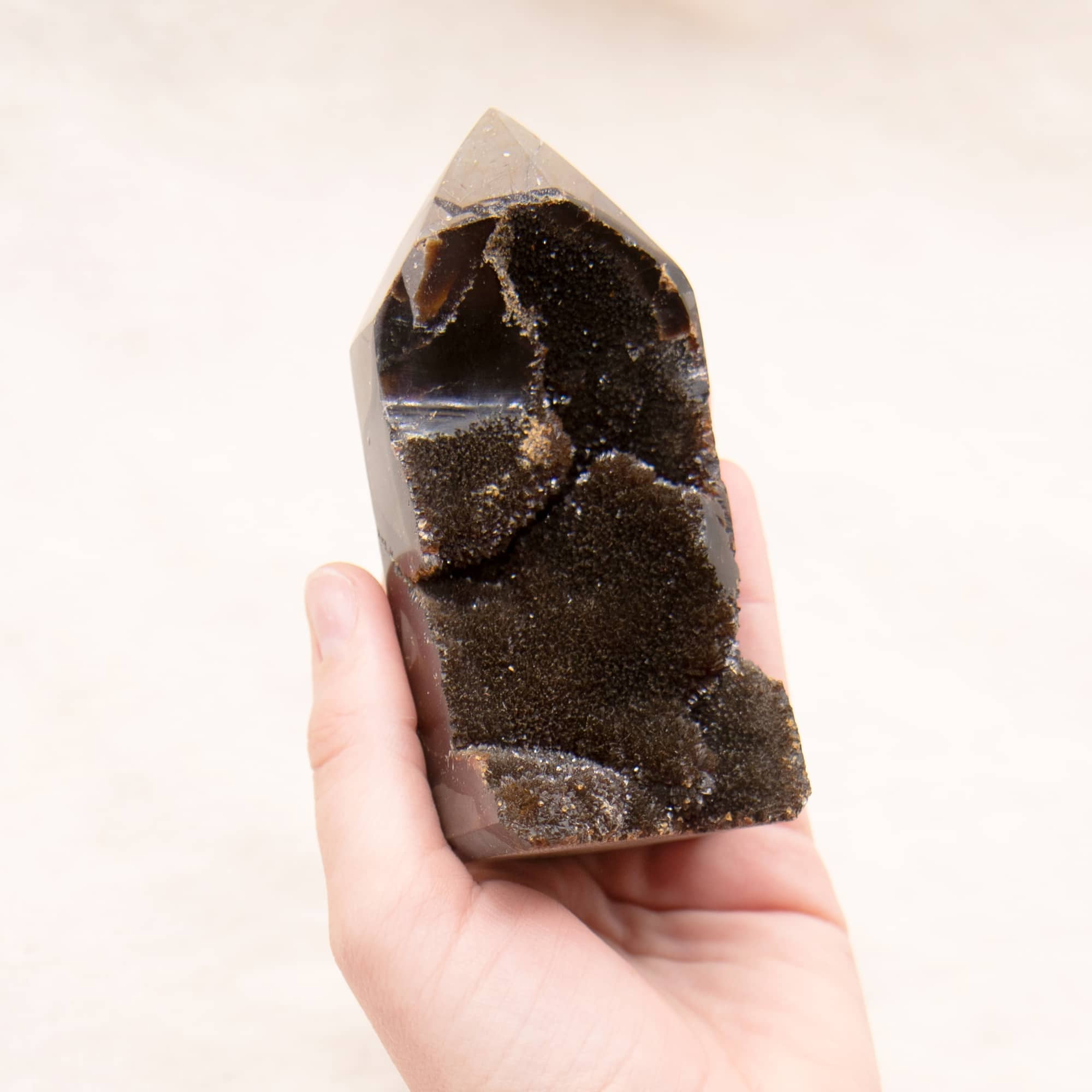 Rare Black Septarian Geode Freeform Crystal - 1 of a Kind