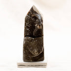 Rare Black Septarian Geode Freeform Crystal - 1 of a Kind