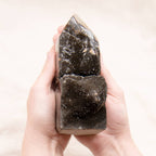 Rare Black Septarian Geode Freeform Crystal - 1 of a Kind