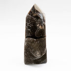 Rare Black Septarian Geode Freeform Crystal - 1 of a Kind