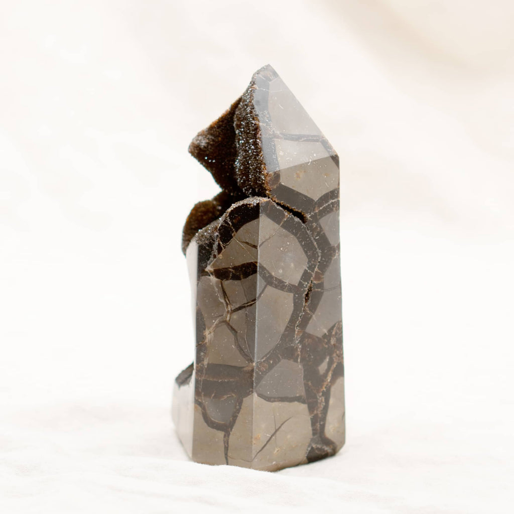Rare Black Septarian Geode Freeform Crystal - 1 of a Kind