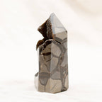 Rare Black Septarian Geode Freeform Crystal - 1 of a Kind