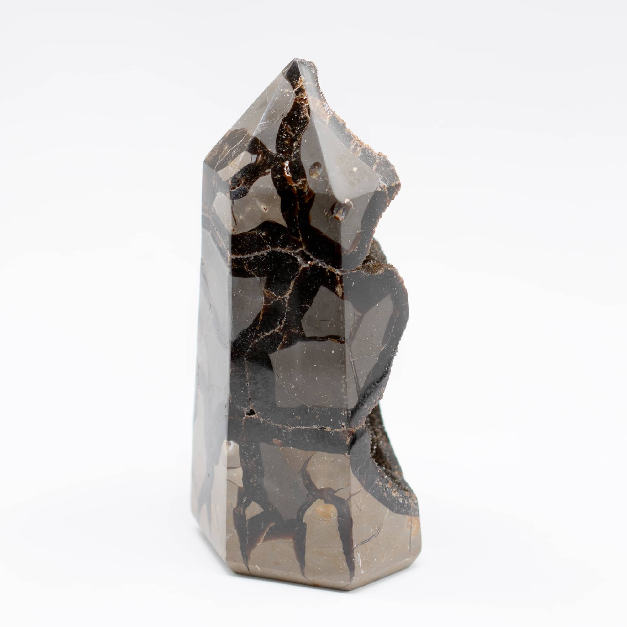 Rare Black Septarian Geode Freeform Crystal - 1 of a Kind