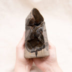 Rare Black Septarian Geode Freeform Crystal - 1 of a Kind