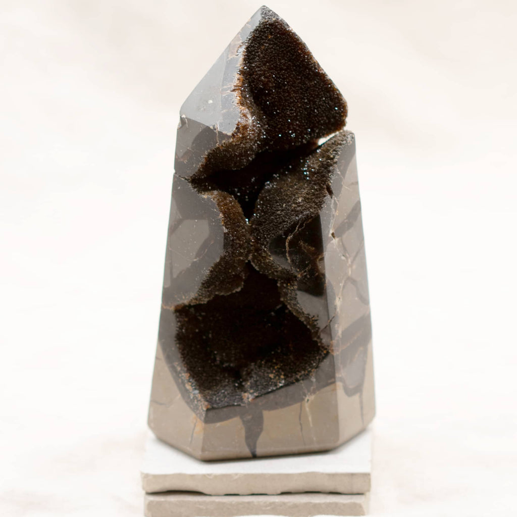 Rare Black Septarian Geode Freeform Crystal - 1 of a Kind