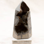 Rare Black Septarian Geode Freeform Crystal - 1 of a Kind