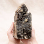 Rare Black Septarian Geode Freeform Crystal - 1 of a Kind