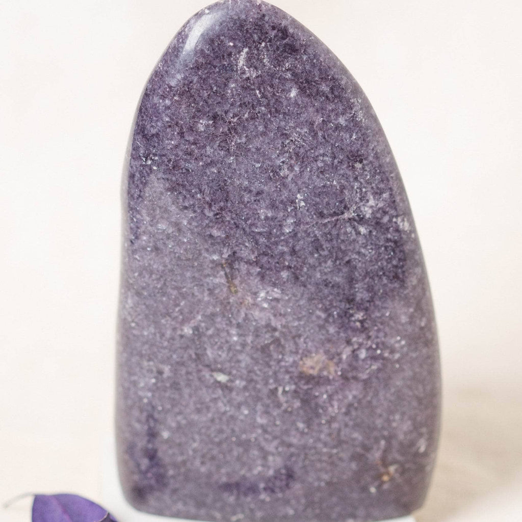 Lepidolite Freeform