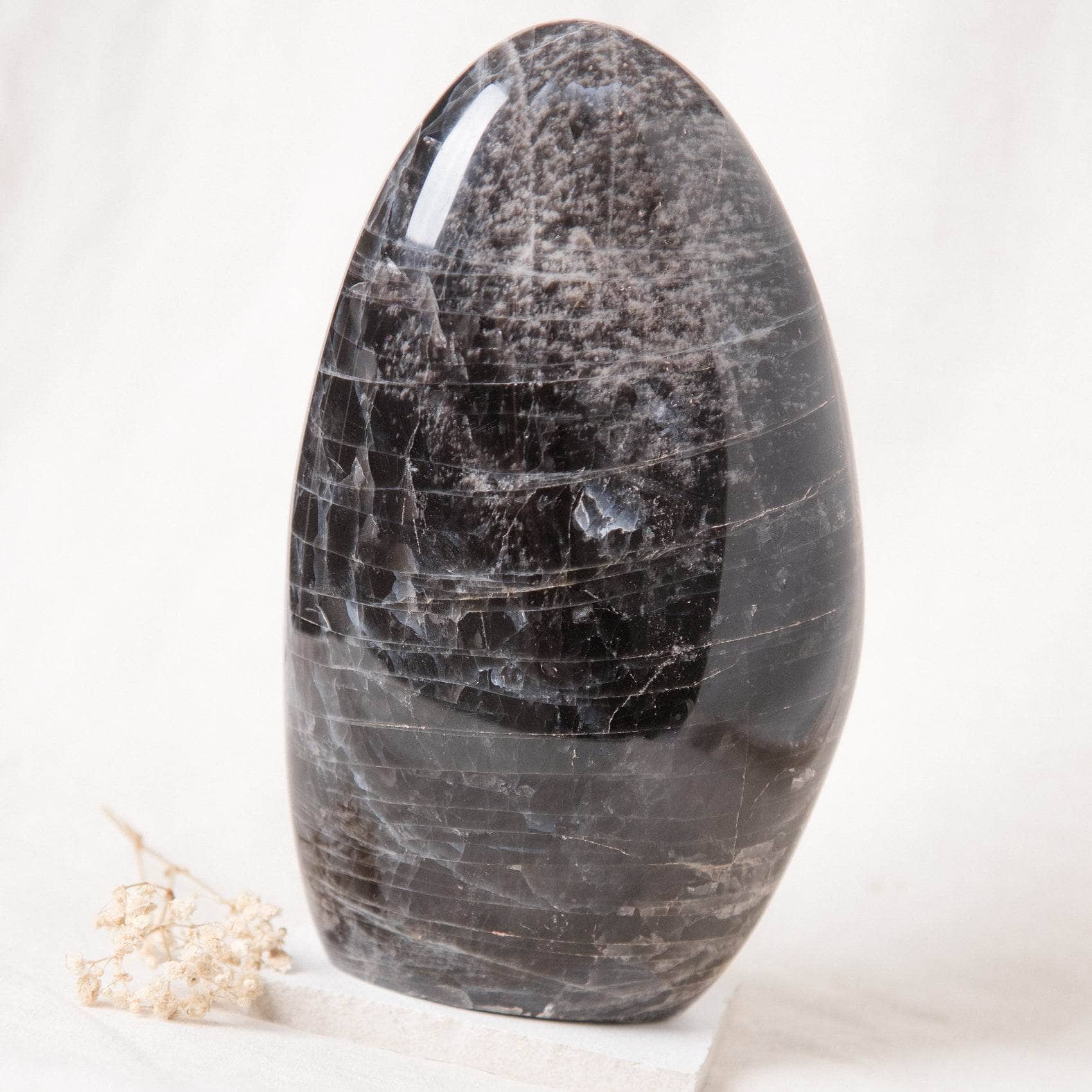 Black Moonstone Freeform - 1 of a Kind