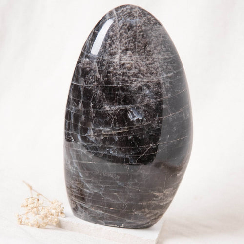 Black Moonstone Freeform - 1 of a Kind