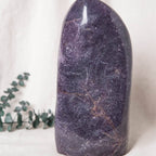 Lepidolite Freeform