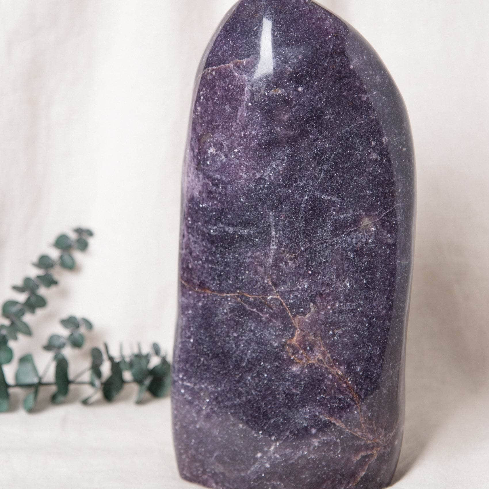 Lepidolite Freeform