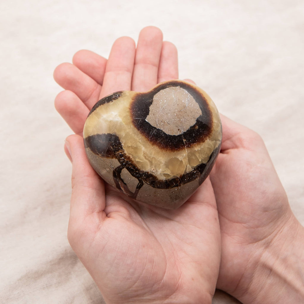 Rare Black Septarian Heart - 1 of a Kind