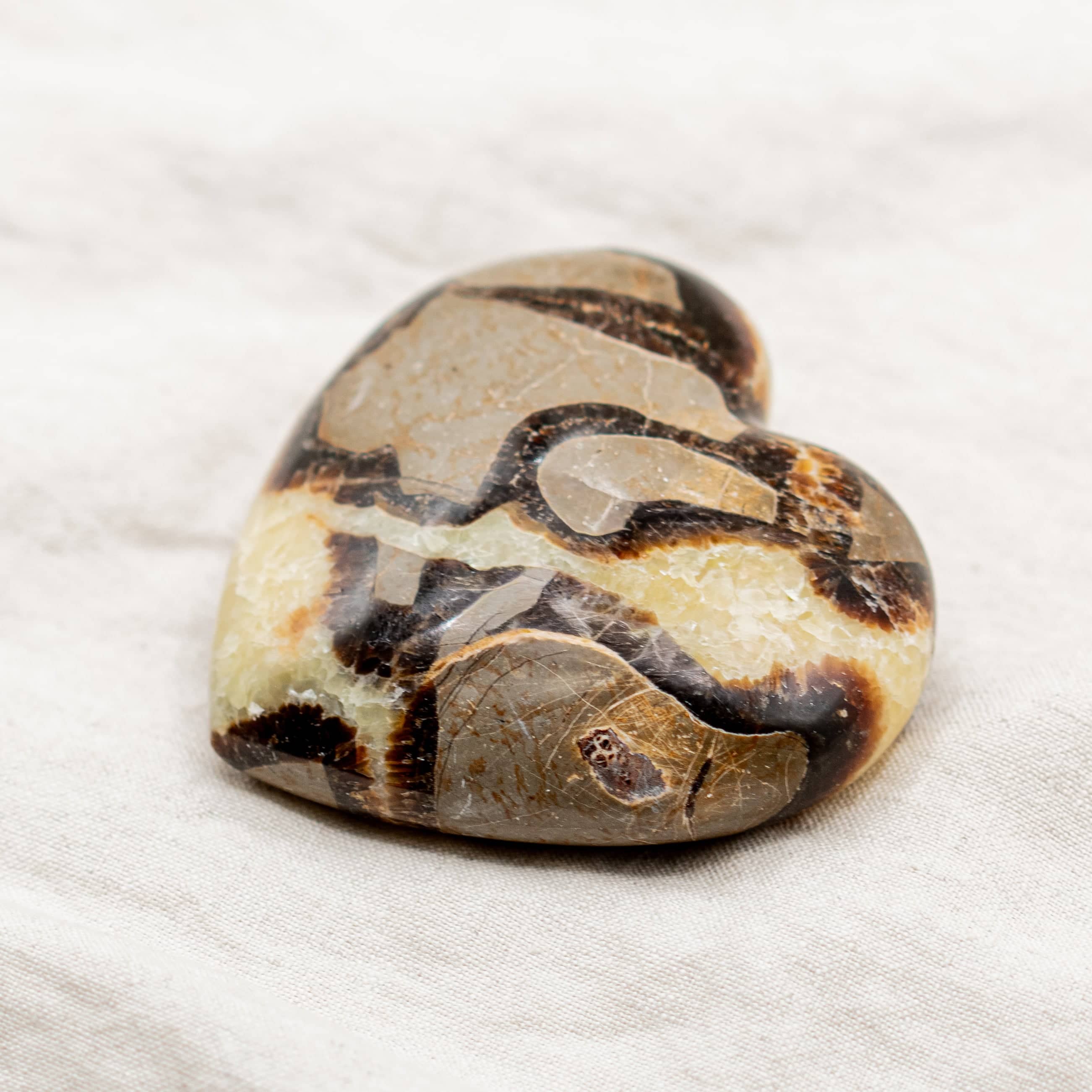 Rare Black Septarian Heart - 1 of a Kind
