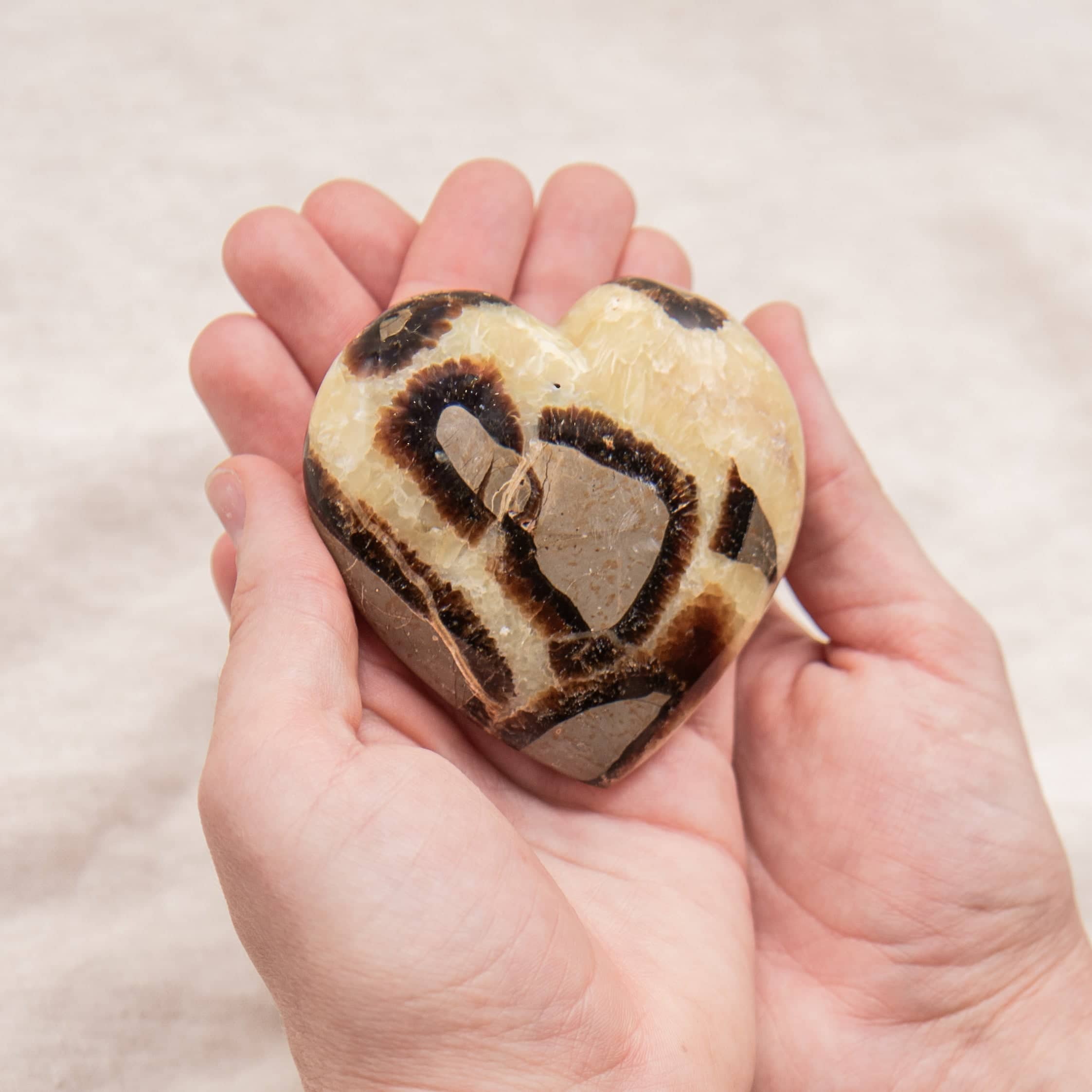 Rare Black Septarian Heart - 1 of a Kind