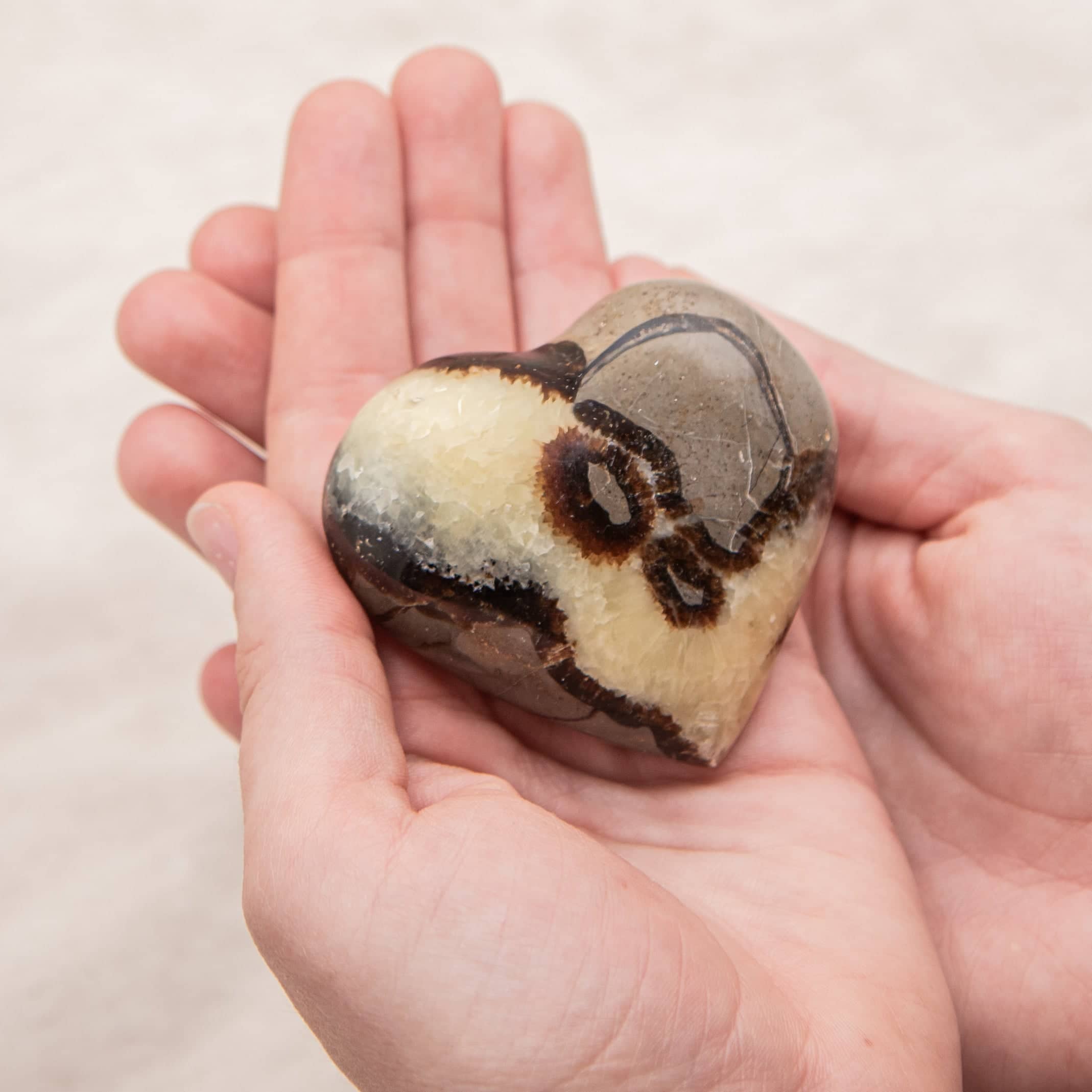 Rare Black Septarian Heart - 1 of a Kind