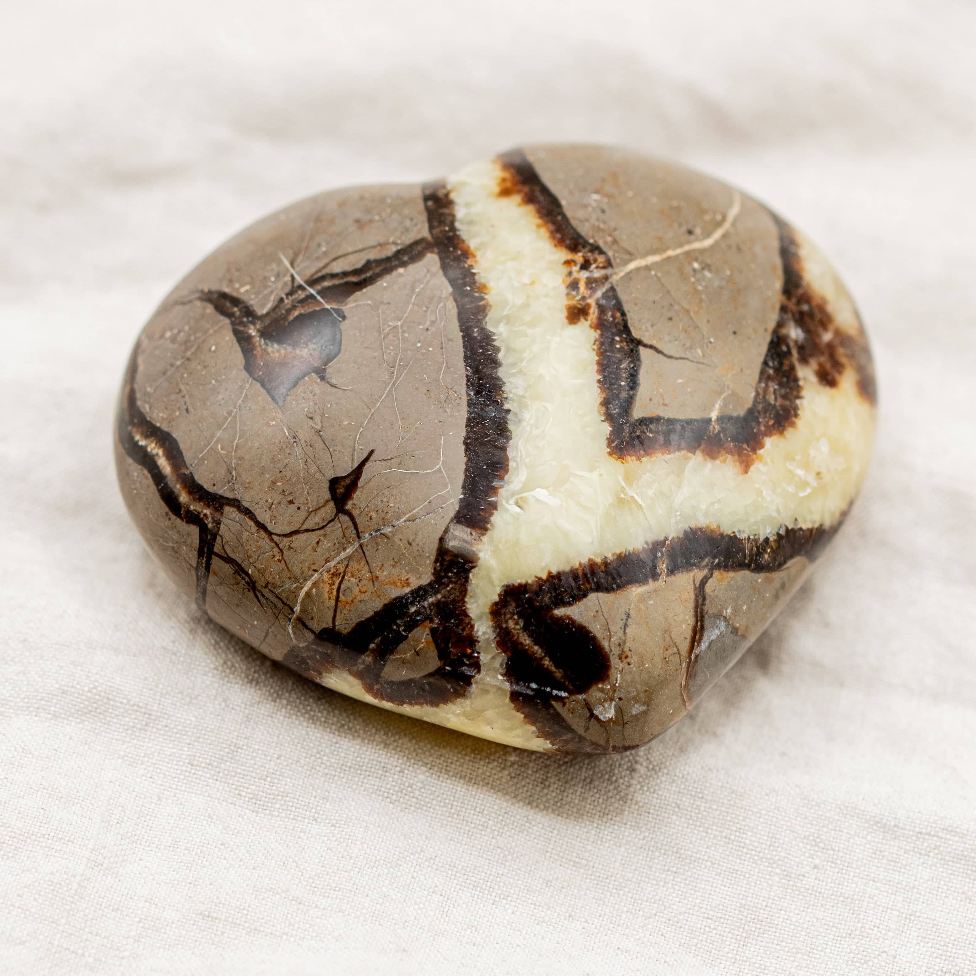 Rare Black Septarian Heart - 1 of a Kind