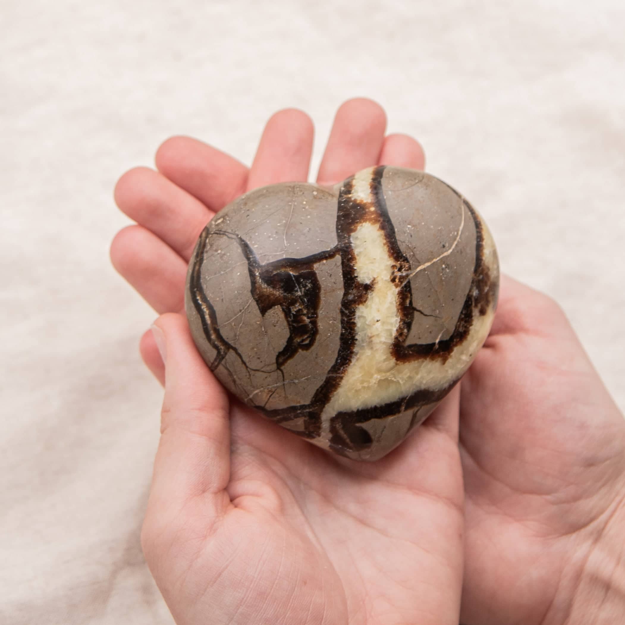 Rare Black Septarian Heart - 1 of a Kind