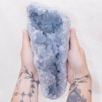 Celestine Geodes - Large - 1 of a Kind