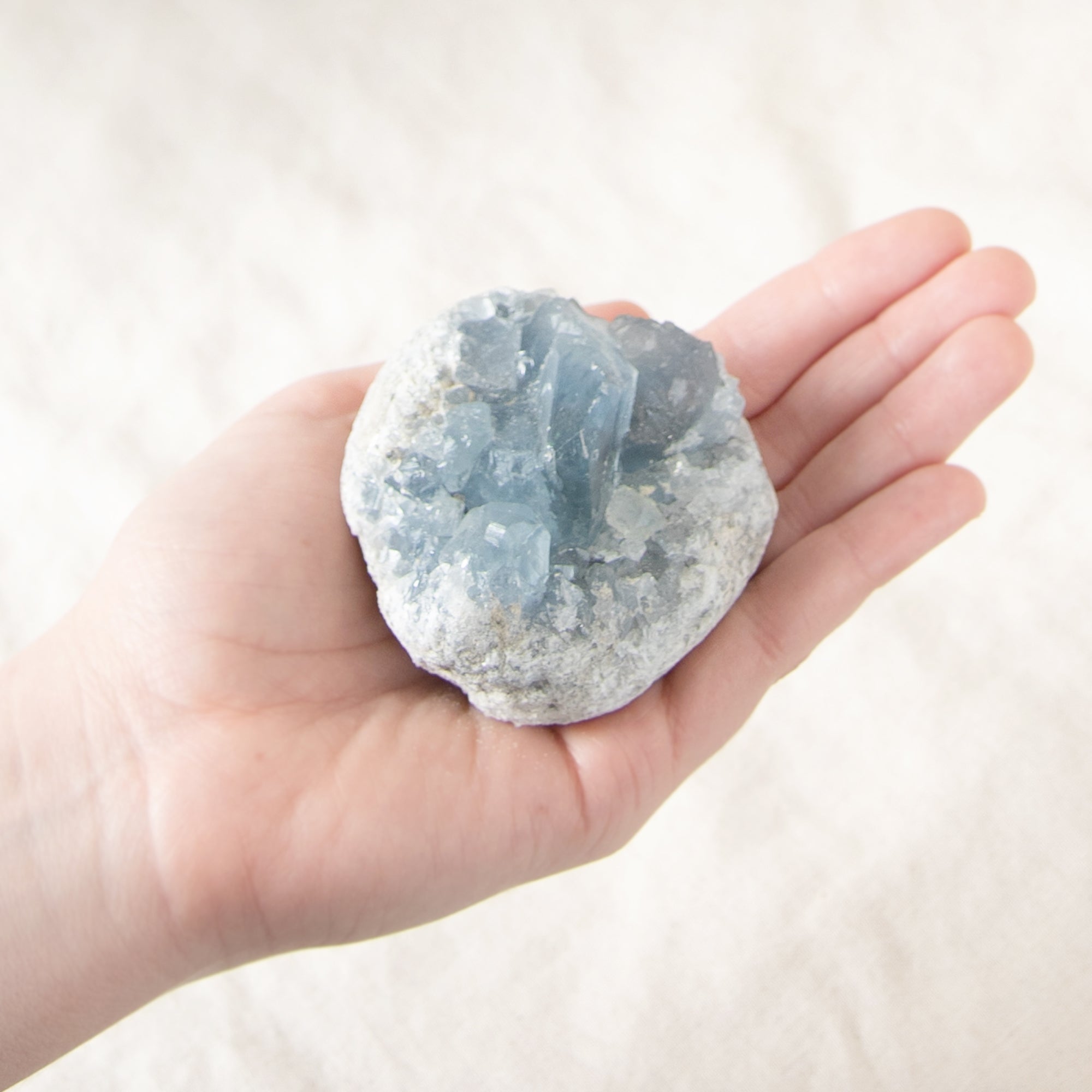 Celestine Geodes - Large - 1 of a Kind
