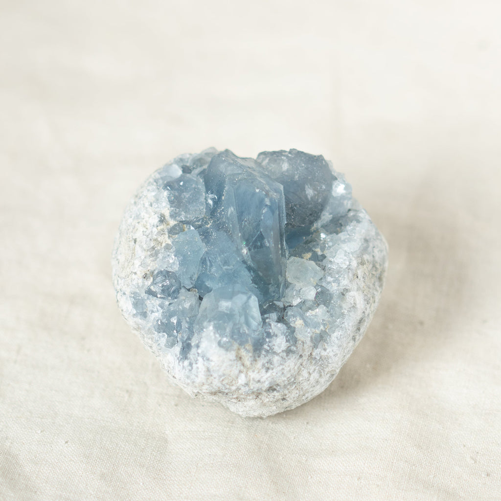 Celestine Geodes - Large - 1 of a Kind