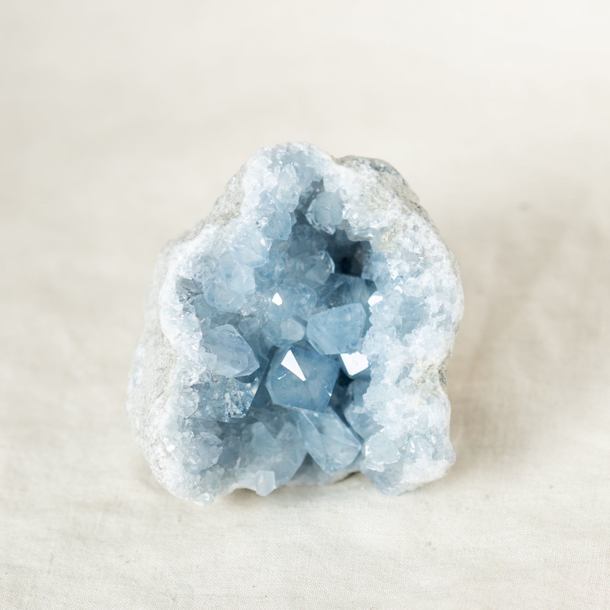 Celestine Geodes - Large - 1 of a Kind
