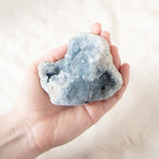 Celestine Geodes - Large - 1 of a Kind