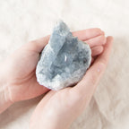Celestine Geodes - Large - 1 of a Kind
