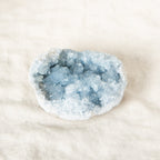 Celestine Geodes - Large - 1 of a Kind