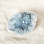 Celestine Geodes - Large - 1 of a Kind