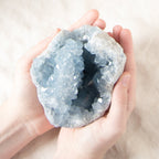 Celestine Geodes - Large - 1 of a Kind