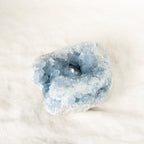Celestine Geodes - Large - 1 of a Kind