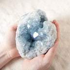 Celestine Geodes - Large - 1 of a Kind