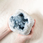 Celestine Geodes - Large - 1 of a Kind