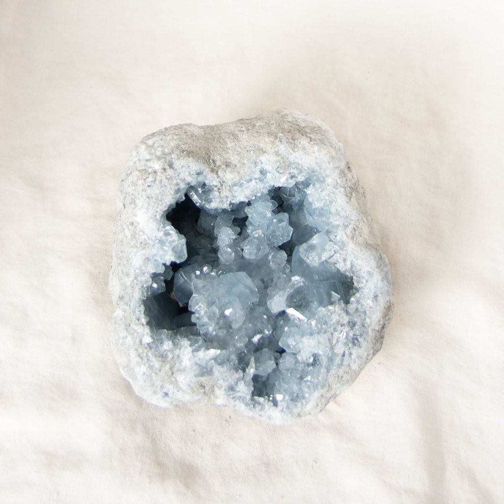 Celestine Geodes - Large - 1 of a Kind