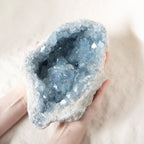 Celestine Geodes - Large - 1 of a Kind