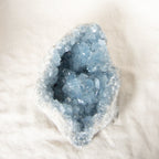 Celestine Geodes - Large - 1 of a Kind