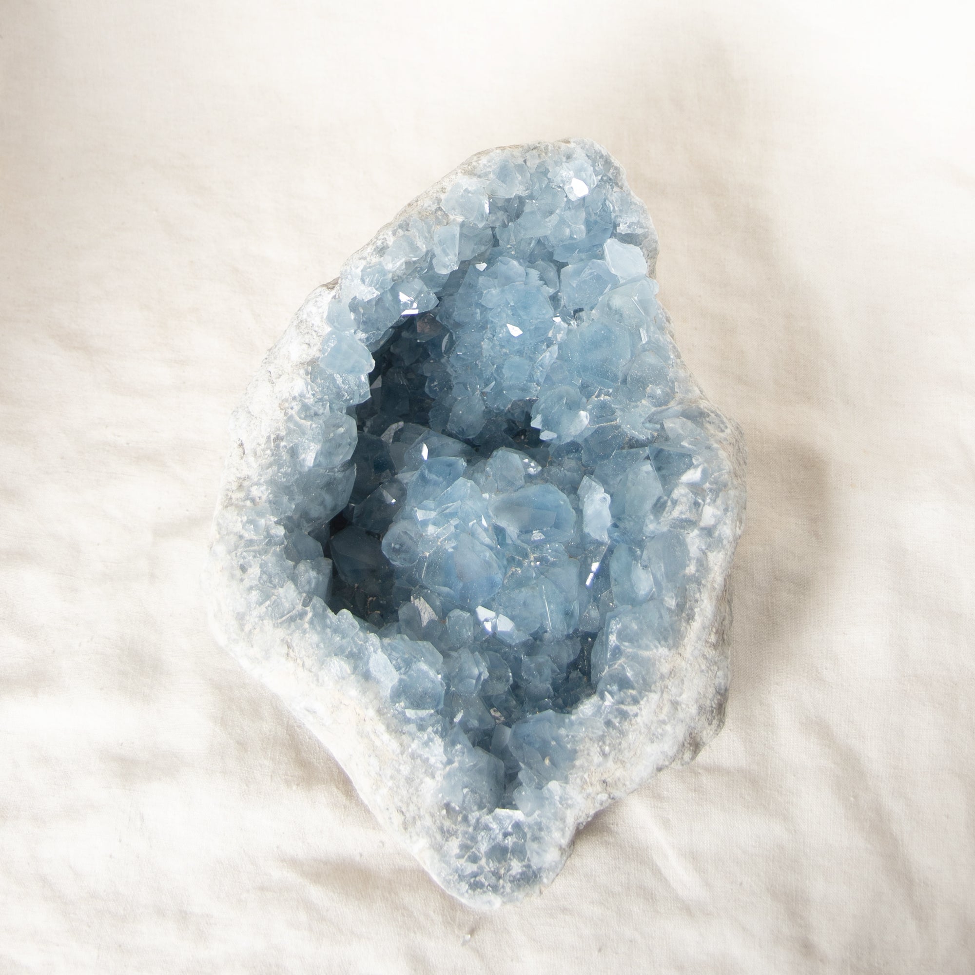 Celestine Geodes - Large - 1 of a Kind