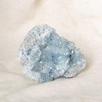 Celestine Geodes - Large - 1 of a Kind