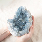 Celestine Geodes - Large - 1 of a Kind