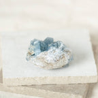Celestine Geodes - Small