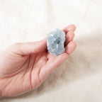 Celestine Geodes - Small