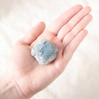 Celestine Geodes - Small