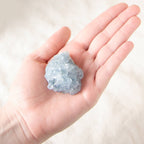 Celestine Geodes - Small