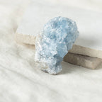Celestine Geodes - Small