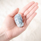 Celestine Geodes - Small