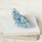 Celestine Geodes - Small