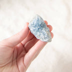 Celestine Geodes - Small